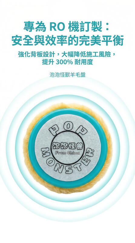RO 訂製羊毛盤 素黑軟漆專用 產品說明第 10 張