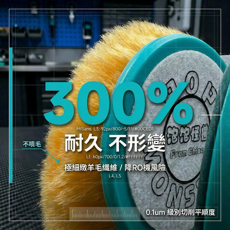 RO 訂製羊毛盤 素黑軟漆專用 產品說明第 12 張